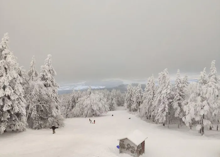 Appartement Siegmund By Interhome *