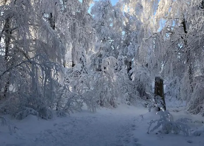 Siegmund By Interhome